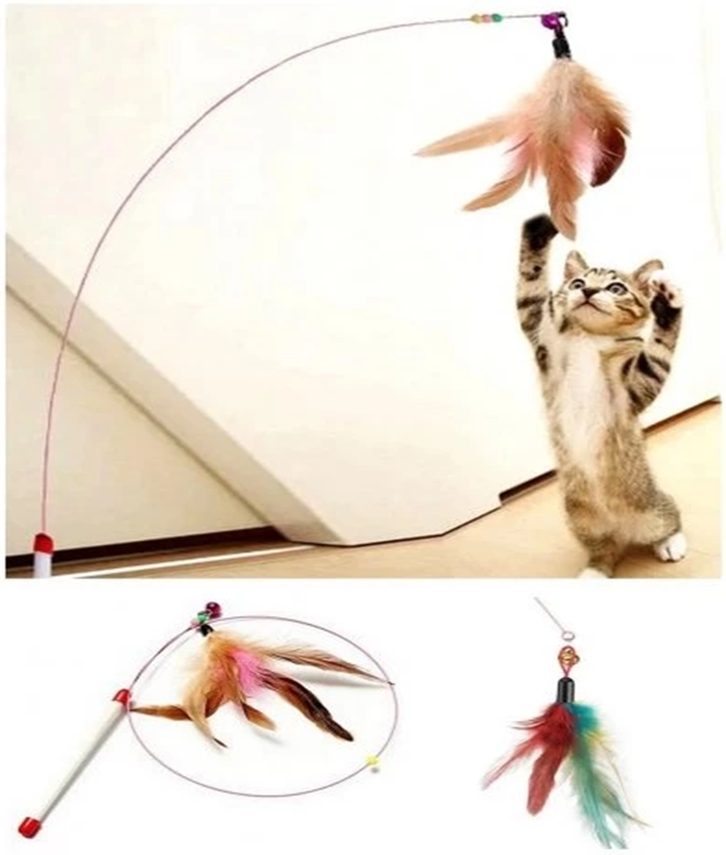 TÜYLÜ KEDİ OLTASI